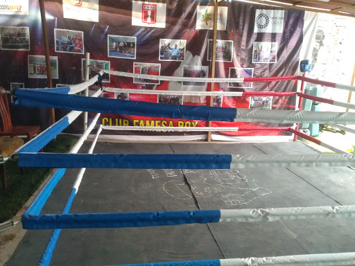 Club FAMESA BOX
