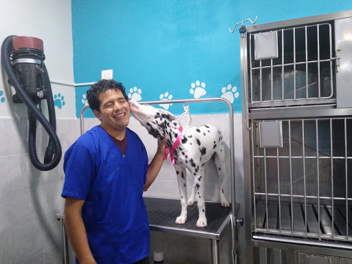 Veterinaria Sam Vet