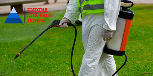 ANDINA CONTROL SERVICES SAC