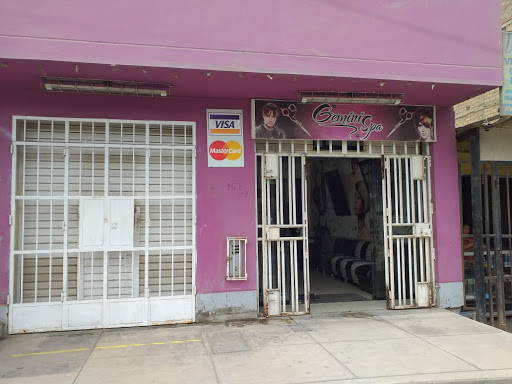 Geminis Salon y Spa