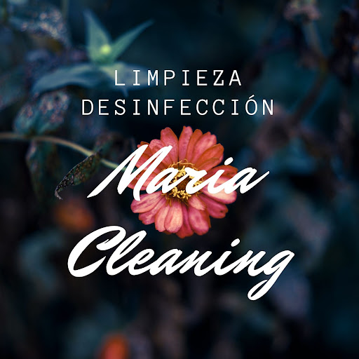 Maria Cleaning