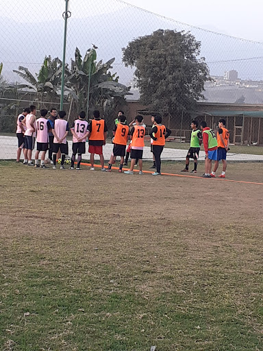 Academia deportiva NELLE