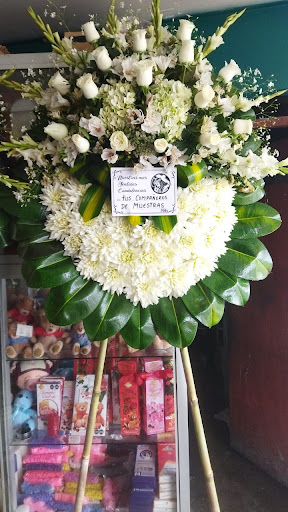 Enflor Florería