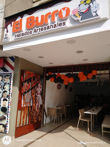 Helados Artesanales El Burro 2