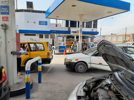 Grifo FERCOR- Gas Y Gasolina
