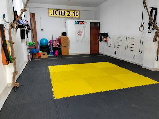 Lion's Tae Kwon Do - Puente Piedra