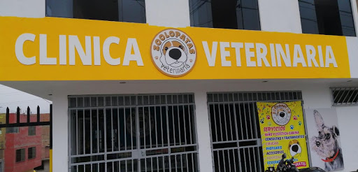 CLINICA VETERINARIA ZOOLOPATAS-PUENTE PIEDRA