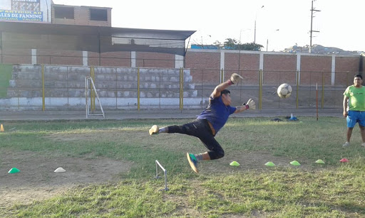 ESCUELA DE FUTBOL PEDRO VILLEGAS CASTILLO