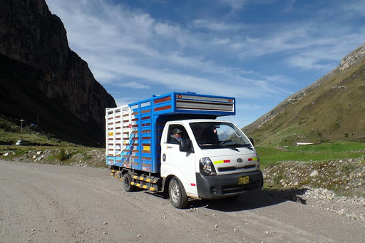 Transportes y Servicios Generales Támara