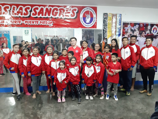 Todas las Sangres - Puente Piedra