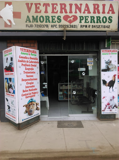 CLÍNICA VETERINARIA AMORES PERROS