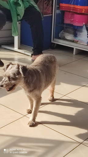 Clínica Veterinaria Sava