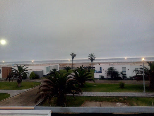Plantas Olinda