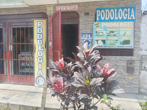 PODOLOGIA LUZMA