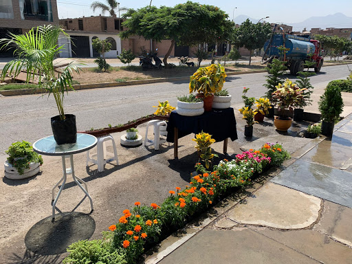 Jardinería y Vivero | Peregrino | Trabajos, plantas, flores, tierra, césped, entre otros.